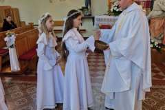 IMG_20250529_210738-1