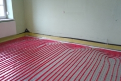 IMG_20241002_130119667